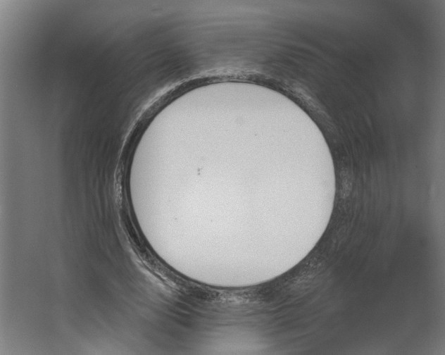 X0000062910632200601271740