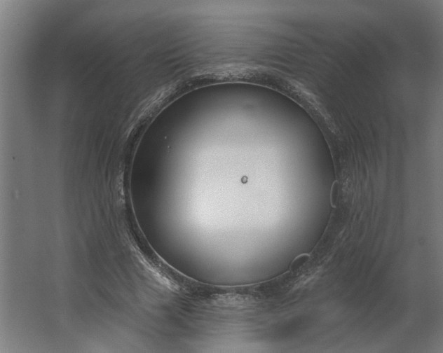 X0000062910633200601271740