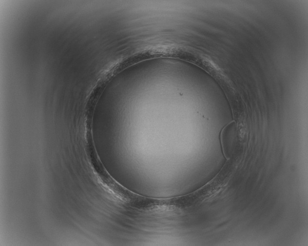 X0000062910637200601271740