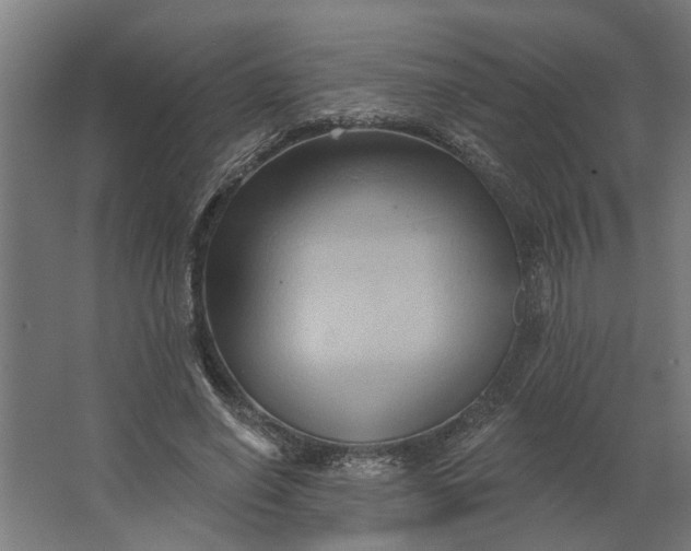 X0000062910638200601271740