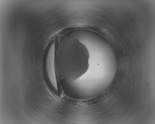 X0000062910640200601271740