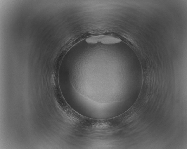 X0000062910643200601271740