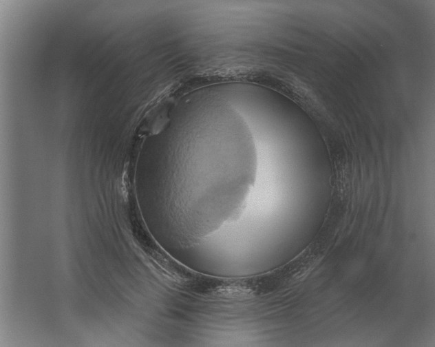 X0000062910644200601271740