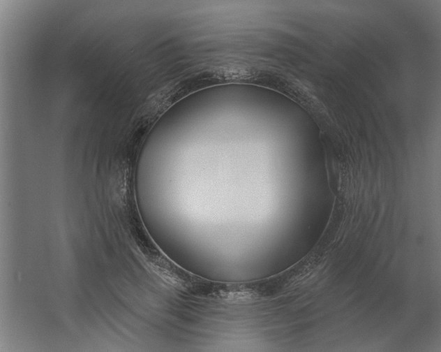 X0000062910645200601271740