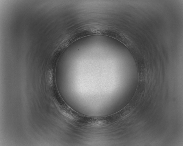 X0000062910646200601271740