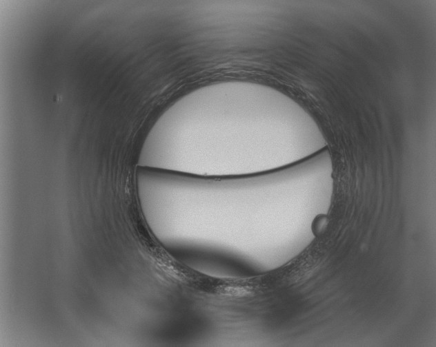 X0000062910649200601271740