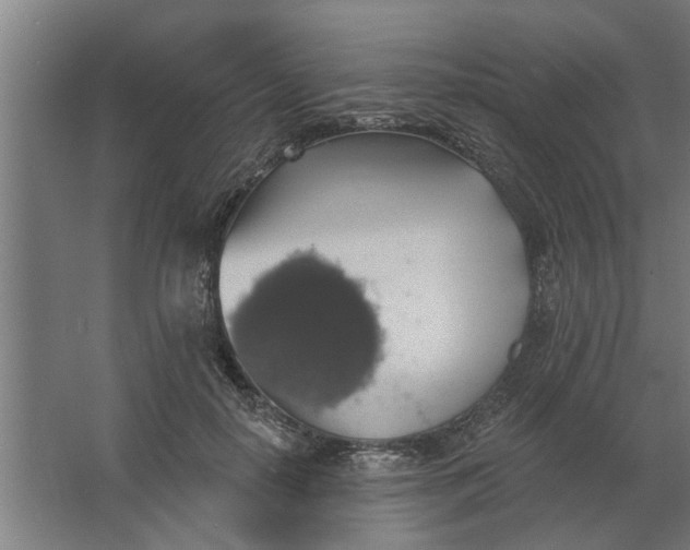 X0000062910650200601271740