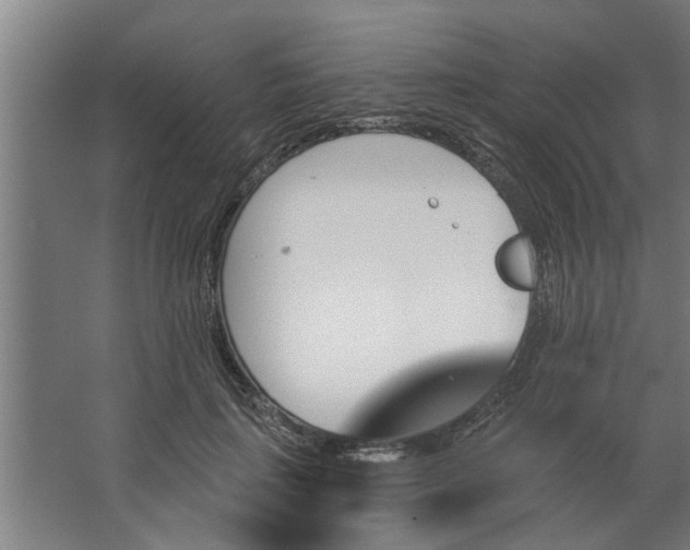 X0000062910651200601271741