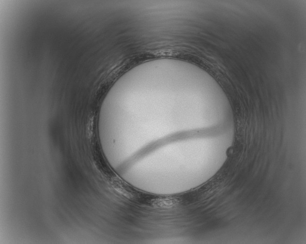 X0000062910652200601271741