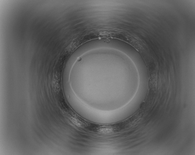 X0000062910653200601271741