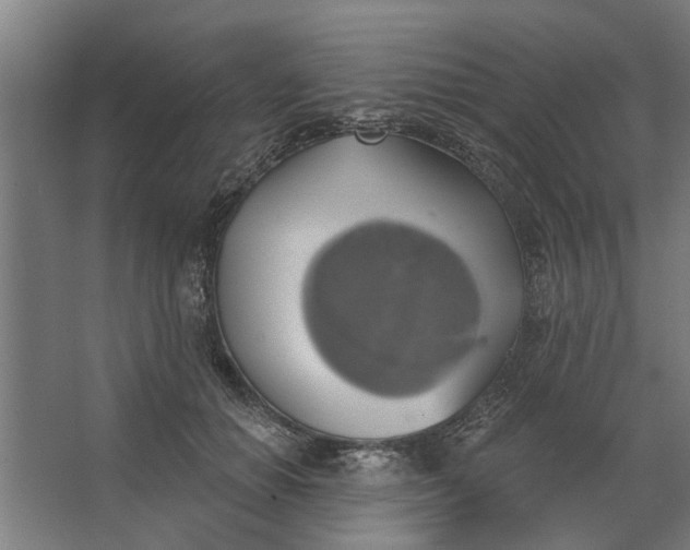 X0000062910654200601271741