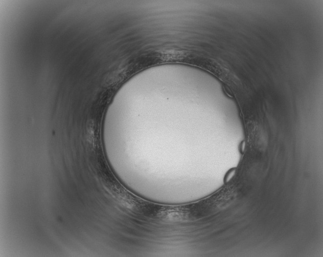 X0000062910655200601271741