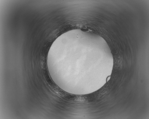 X0000062910656200601271741