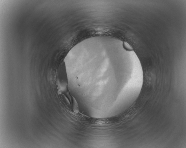 X0000062910657200601271741