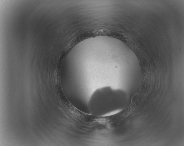 X0000062910659200601271741