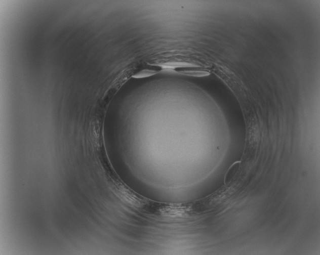 X0000062910661200601271741