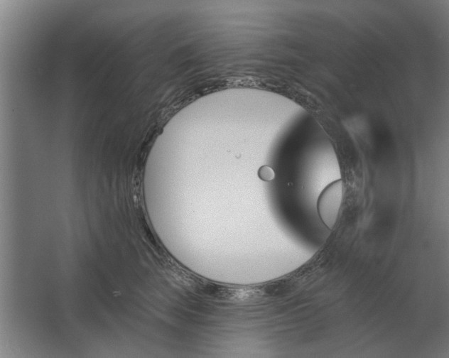 X0000062910663200601271741