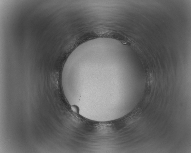 X0000062910664200601271741