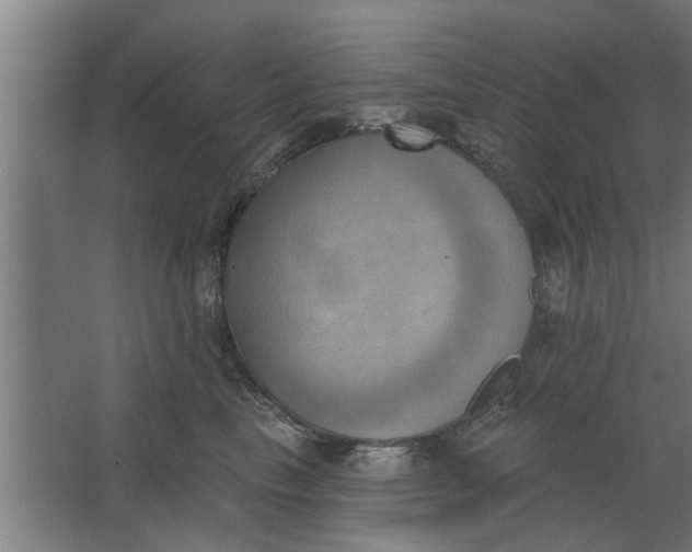 X0000062910665200601271741