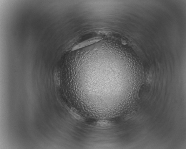 X0000062910666200601271741