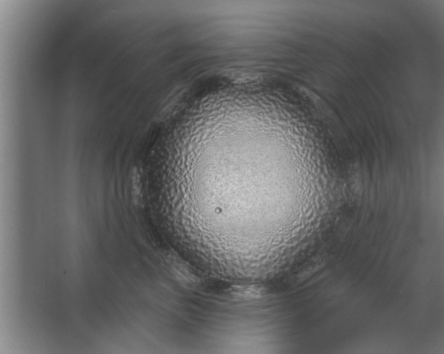 X0000062910667200601271741