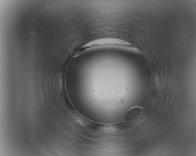 X0000062910668200601271741