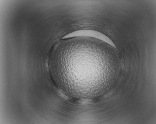 X0000062910670200601271741