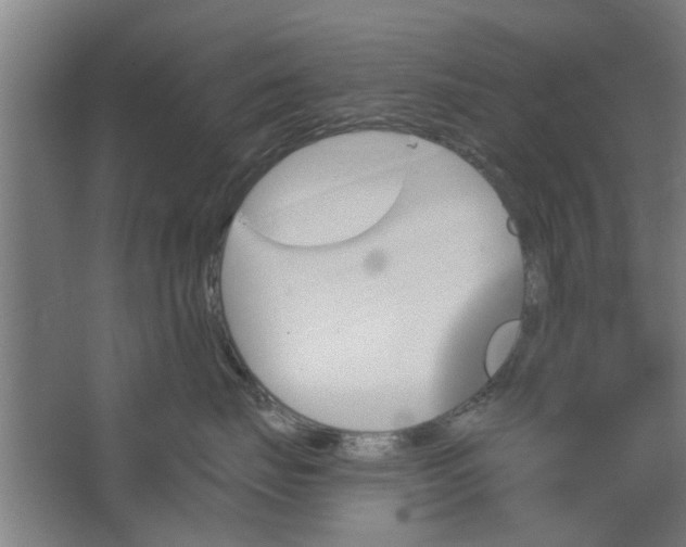 X0000062910671200601271741