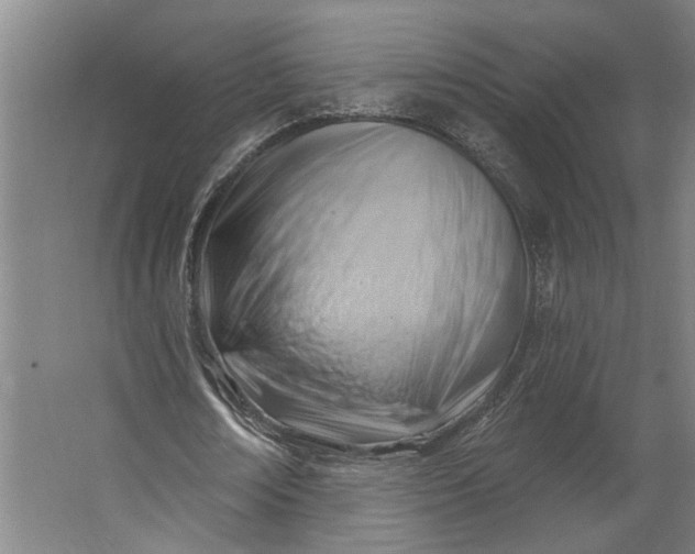 X0000062910674200601271740