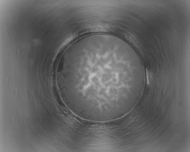 X0000062910675200601271740