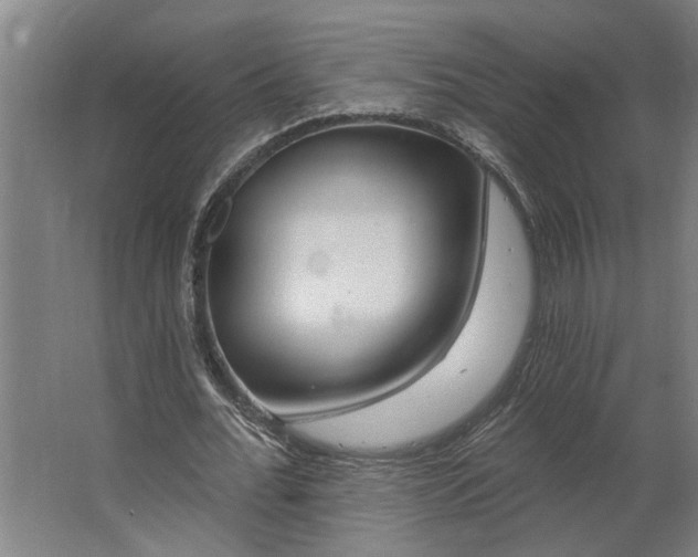 X0000062910676200601271740