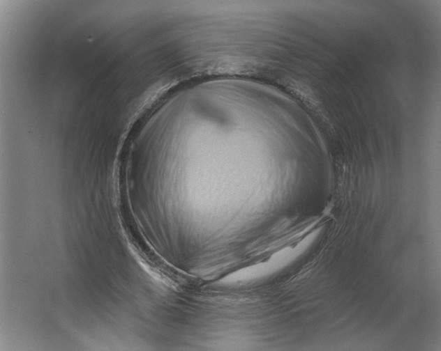 X0000062910678200601271740