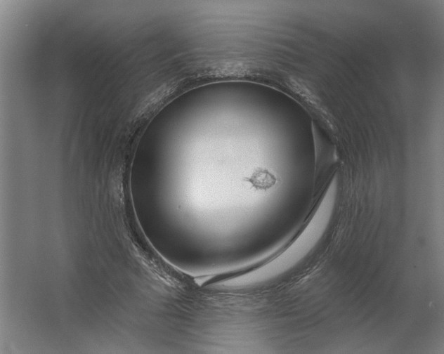 X0000062910681200601271740