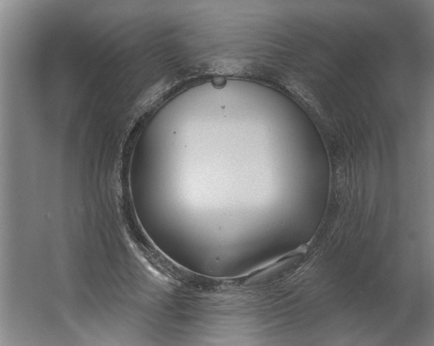 X0000062910682200601271740