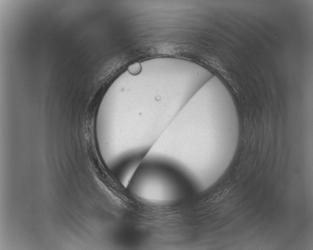 X0000062910683200601271740