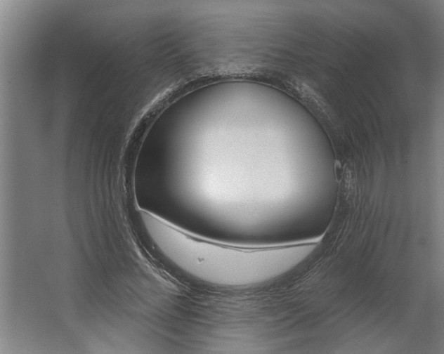 X0000062910684200601271740