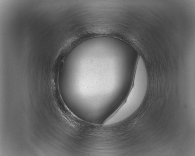 X0000062910688200601271740