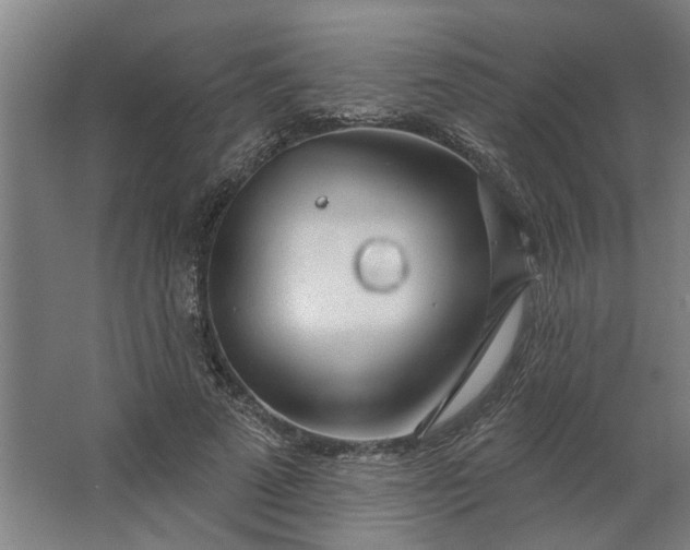 X0000062910689200601271740