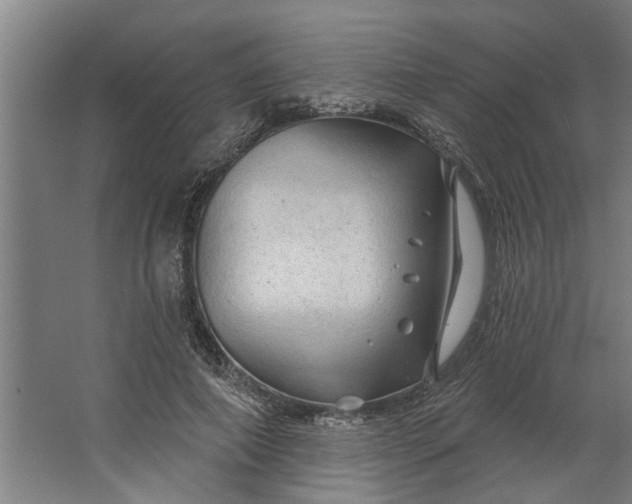 X0000062910690200601271740