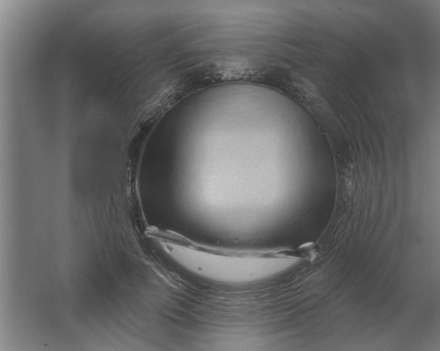 X0000062910691200601271740