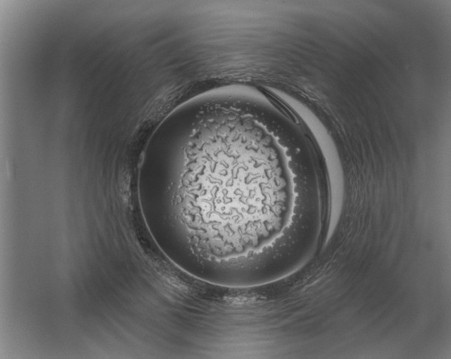 X0000062910693200601271740