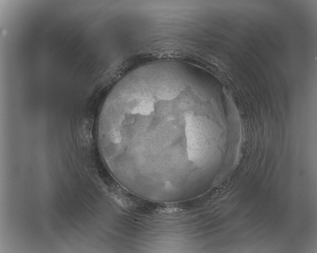 X0000062910695200601271740