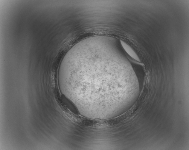 X0000062910696200601271740