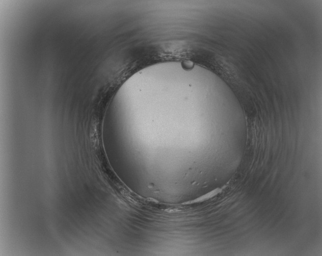 X0000062910699200601271740