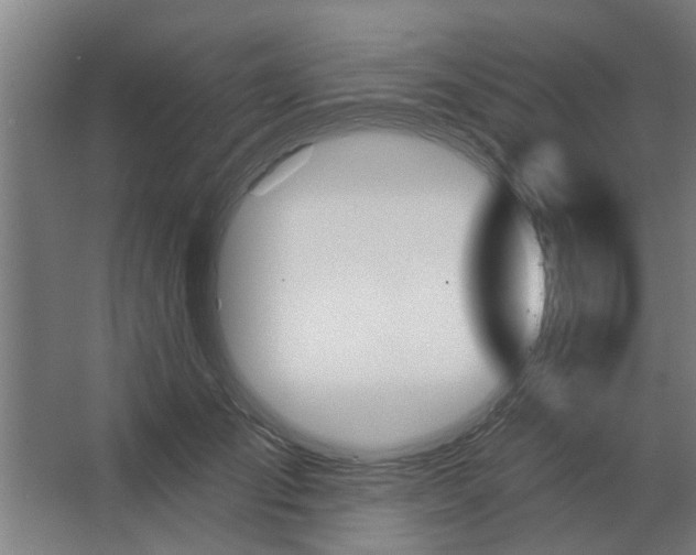 X0000062910701200601271740