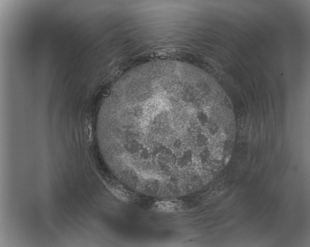 X0000062910703200601271740