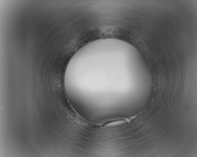 X0000062910706200601271740