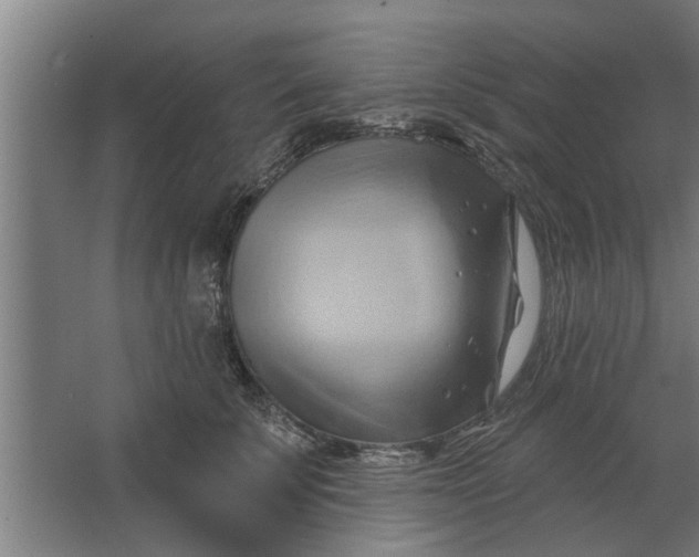 X0000062910707200601271739