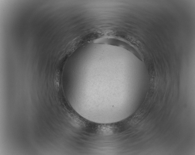 X0000062910710200601271739