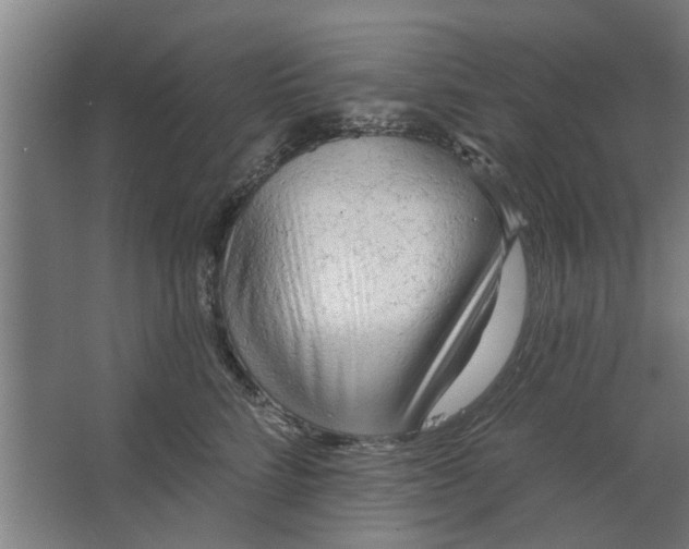 X0000062910712200601271739